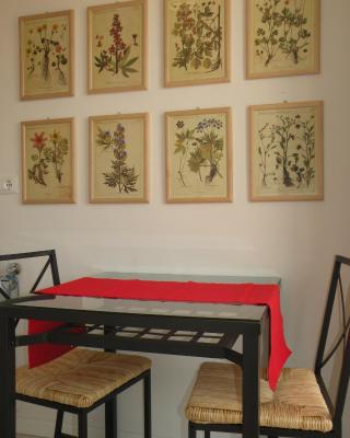 La Casa sul Corso B&B
