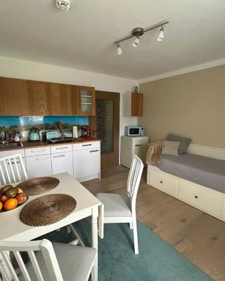 Ferienwohnung im Fichtelgebirge - nahe der Skipiste mit Balkon & Free Parking