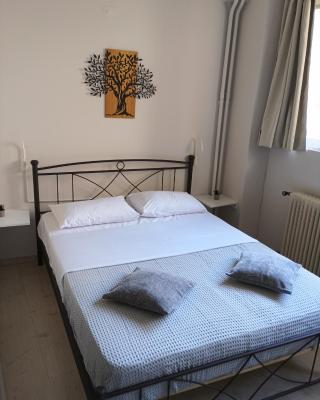Charming Studio