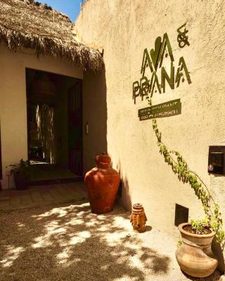 Ama y Prana