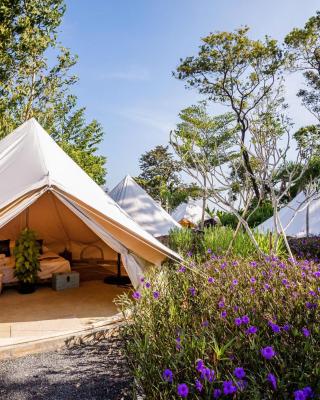 Roost Glamping - SHA Certified