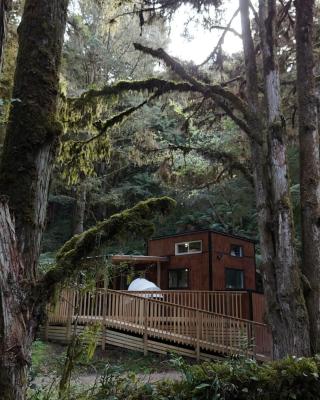 Wonderforest 2 Bedroom Tiny house Ruapehu Unique Stays