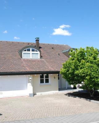 Villa am Buck Lörrach bei Basel