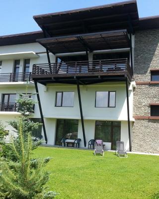 Vila Poarta Bucegilor