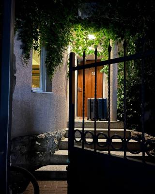 Brodsky's Cat Art Hostel