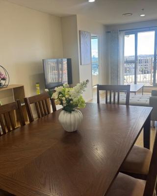 Luxury Penthouse 2 bd 2 bth 2 carparks Pool