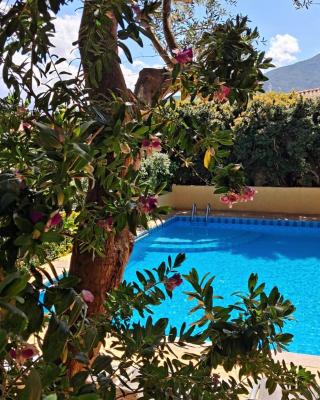 Hotel La Playa
