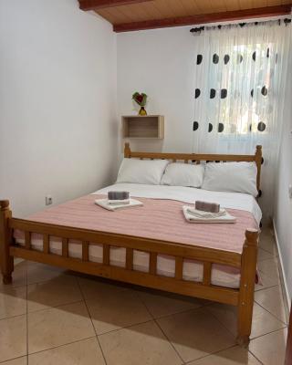 Apartmani Tara
