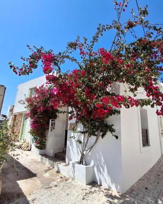 LILIUM HOUSE PALEKASTRO