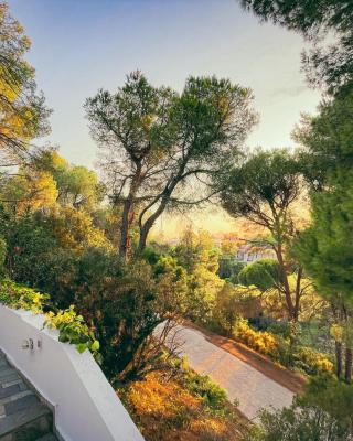 Villa Pilion