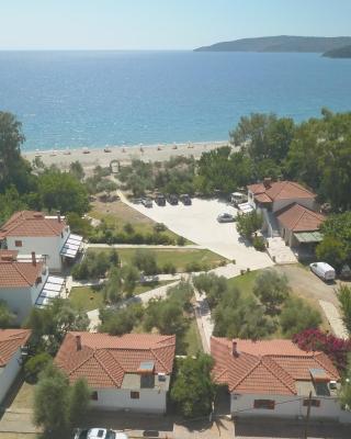 Mikro Xorio