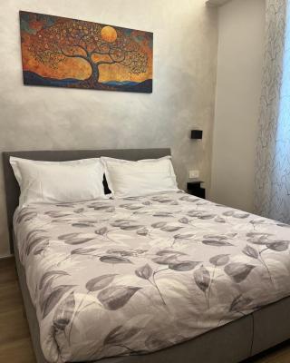 Sogni Di Luna