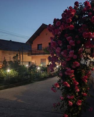 Nina Apartments