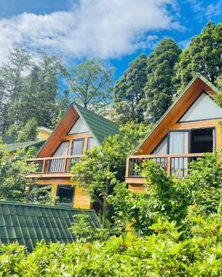 Sapa Pine Hill Eco Lodge