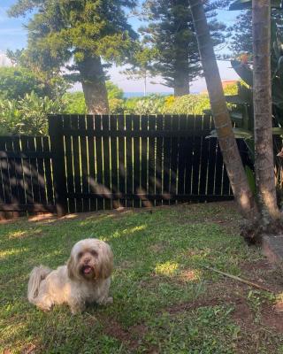 Fishermans Cottage - BillsBest