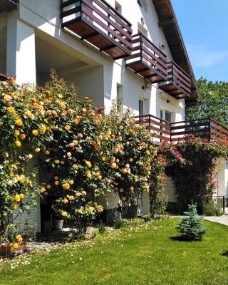 Vila Carpatina