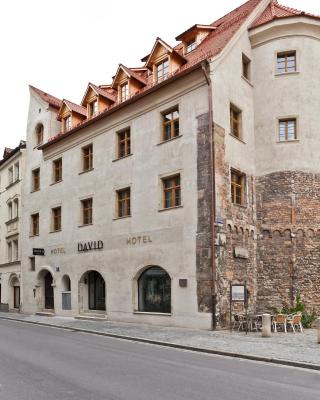 Hotel David an der Donau
