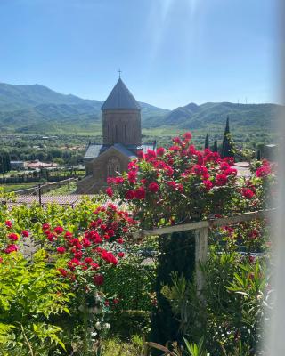 garden and panorama