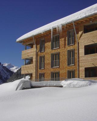 Ferienwohnungen am Walmendingerhorn