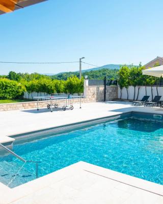 Vacation villa Matic with 7 bedrooms