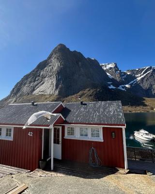 Reinebua