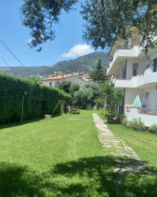 Apartments Agostino