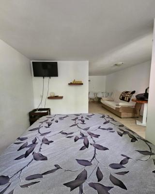 Apartmani Radman 2 - Igalo