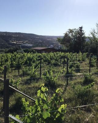 Pervolaris Cottages 1