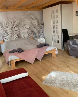 Város szíve apartman