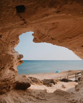 Pinulà