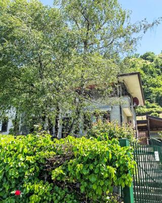 Apartment Nel Castagneto-1 by Interhome