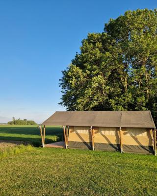 Glamping Safaritent 4 persoons