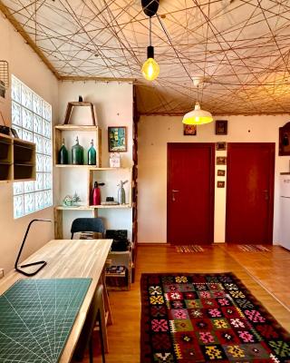 Casa cu Smochin | House with the fig