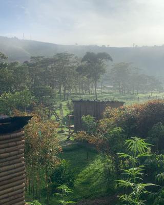 Glamping la veranera