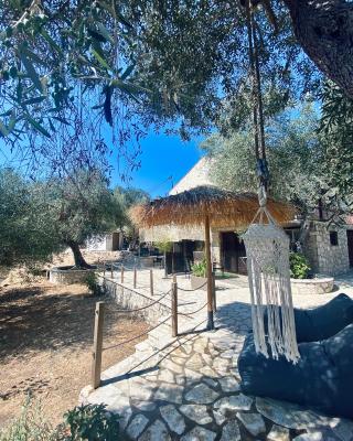 Moxy Paxos Apartments