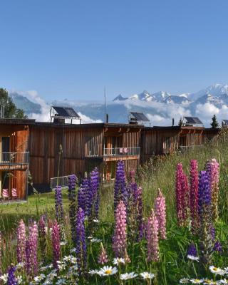 L'Aiguille Grive Chalets Hotel