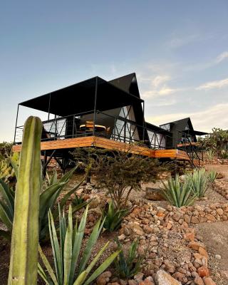 Hotel Coyote
