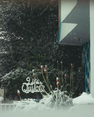 Hostel Like Quijote