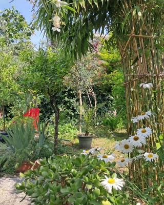 Room with a garden