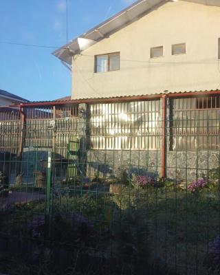 Vila Albastrul Marin