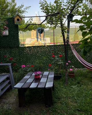 garden and panorama