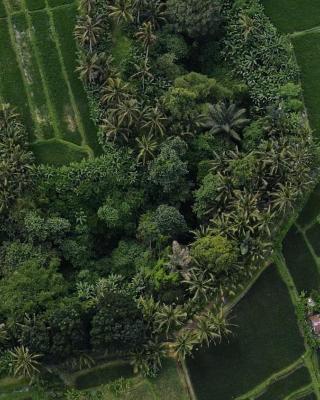 Sacred Beji by Pramana Villas