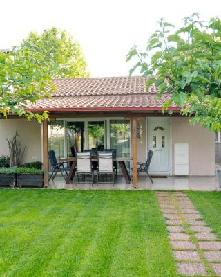 Zak's House