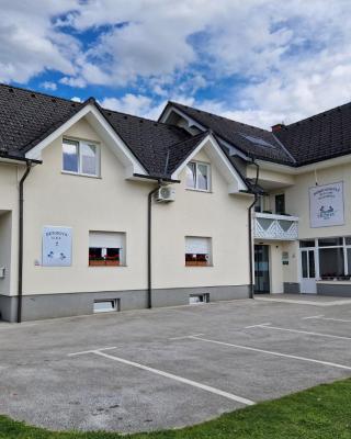 Dežman Apartments & Rooms