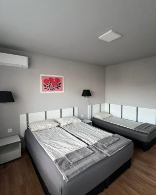 Стаи за гости Villy