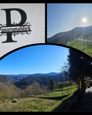 Panoramablick Bermersbach