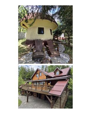 Art Apartments Minic