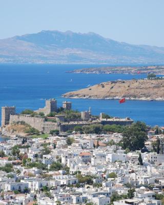 The Marmara Bodrum - Adult Only