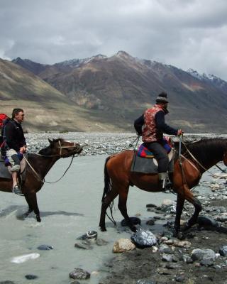 City guesthouse & tours