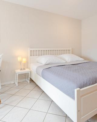 Strandallee 16 Fehmarn Möwe